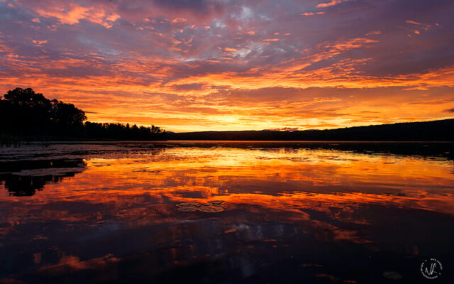 Sunrise on Haley Pond, photograph by Nick Leadley Nature Photographer.